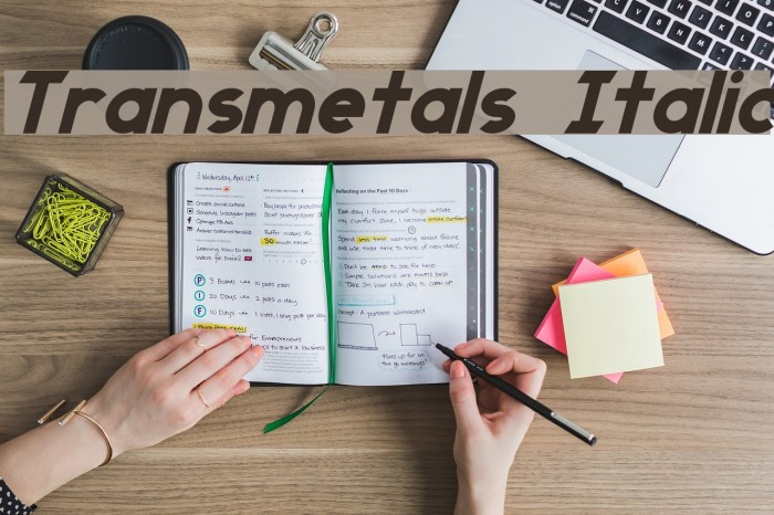 Transmetals Italic Font examples