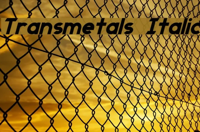 Transmetals Italic Example 3