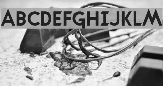 Transmetals Normal Polices examples