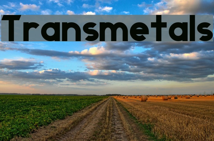 Transmetals Example 1