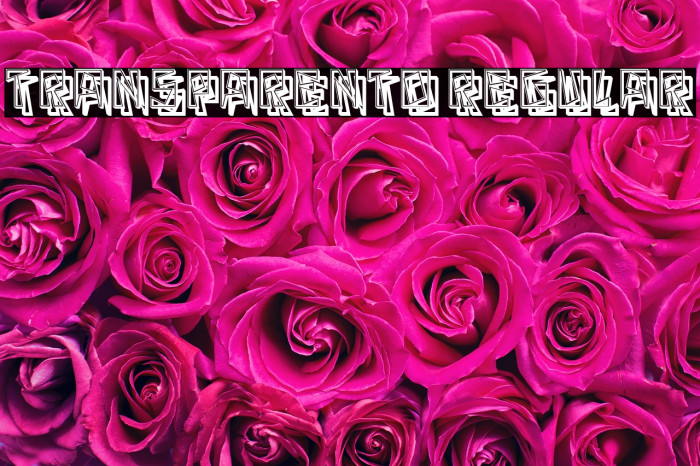 Transparento Regular Example 2