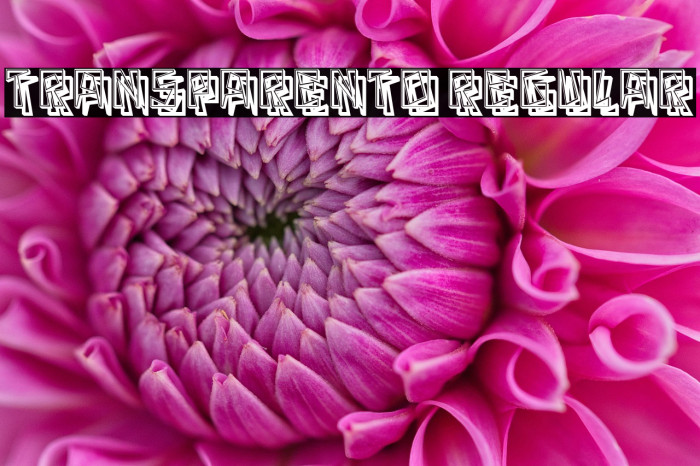 Transparento Regular Example 3