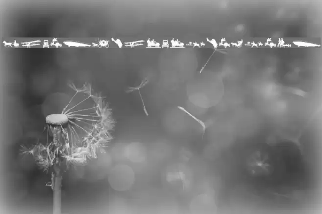 TransportationDings Font examples