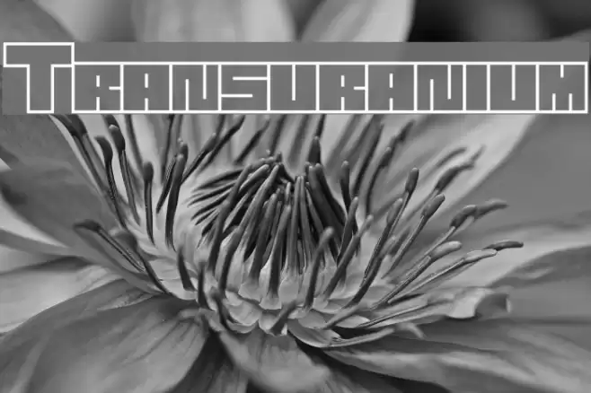 Transuranium 字体 examples