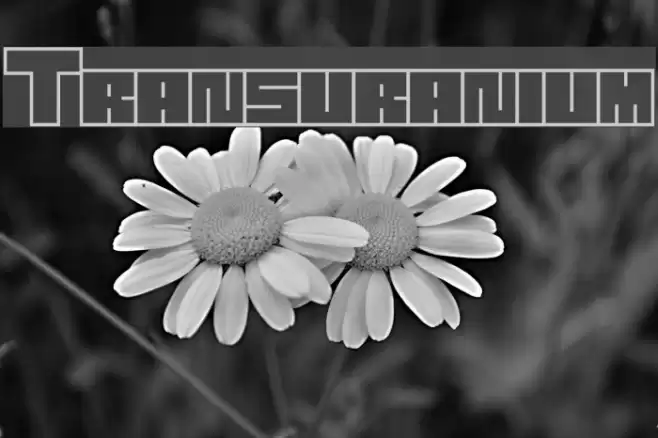 Transuranium Font examples