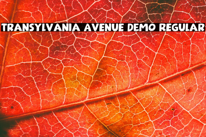 Transylvania Avenue DEMO Regular Example 1