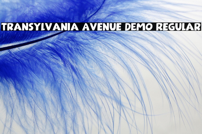 Transylvania Avenue DEMO Regular Example 2