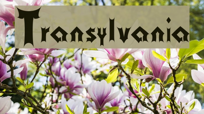 Transylvania Polices examples