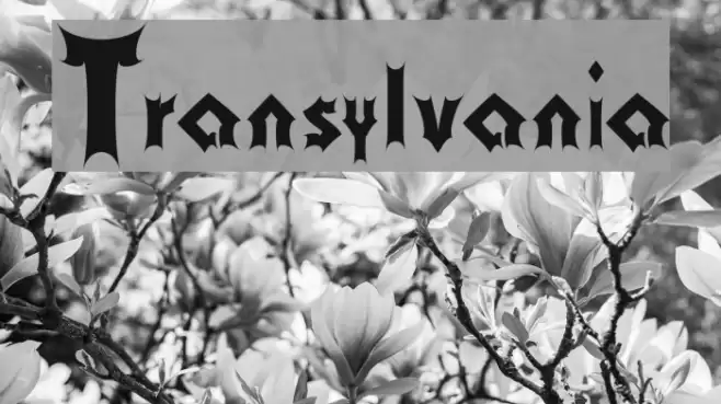 Transylvania Font examples