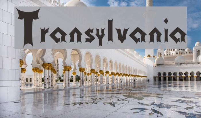 Transylvania Polices examples