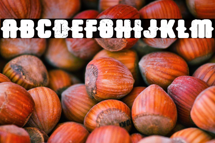 Trap Airlines Example 1