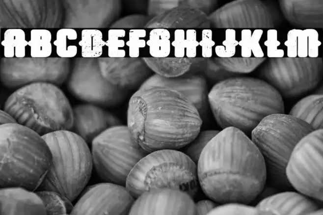 Trap Airlines Fonte examples