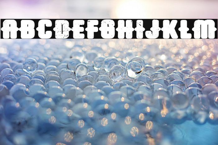 Trap Airlines Example 2