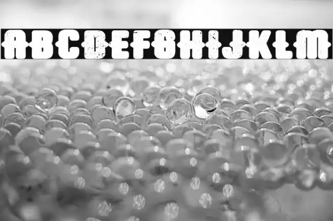 Trap Airlines Fonte examples