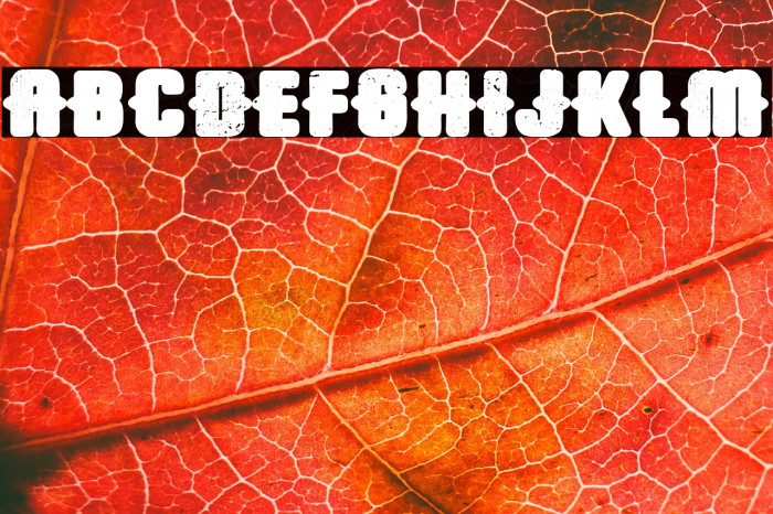 Trap Airlines Example 3