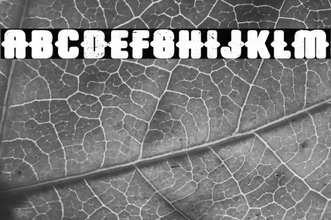 Trap Airlines Fonte examples