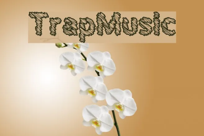 TrapMusic Example 3
