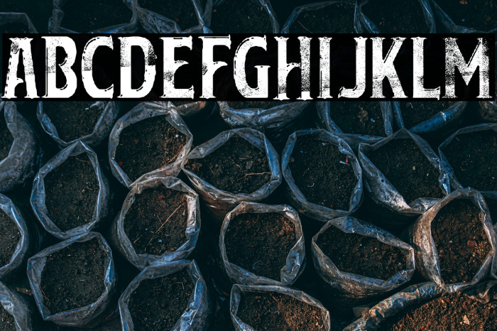 Trapeze Artist Example 3