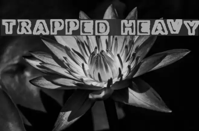 Trapped Heavy フォント examples