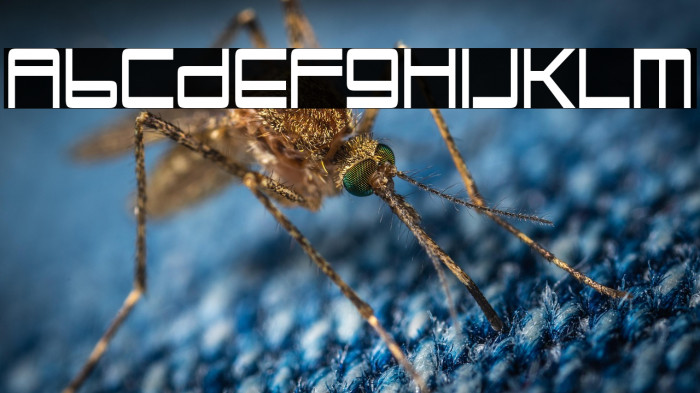 TrapperJohn-Regular Example 2