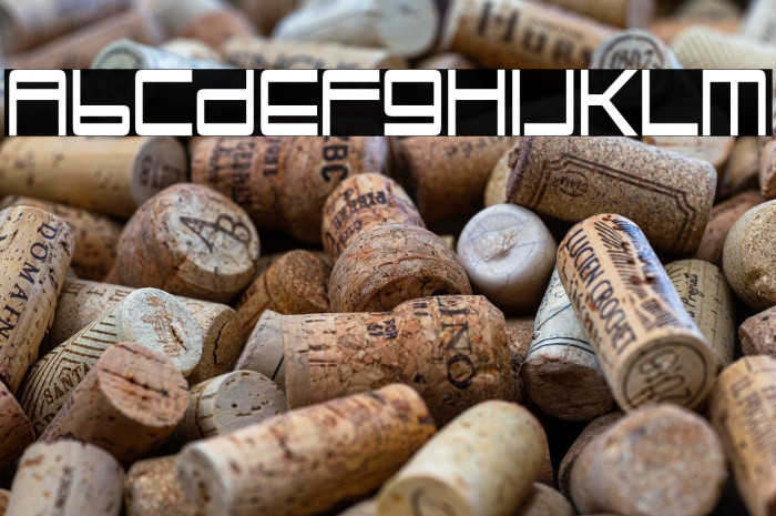 TrapperJohn-Regular Example 3