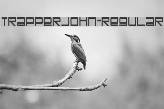 TrapperJohn-Regular Font examples