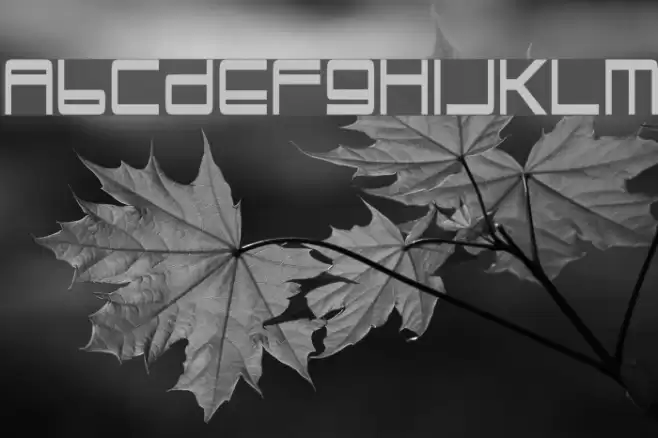 TrapperJohn Font examples