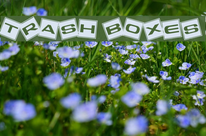 Trash Boxes Font examples