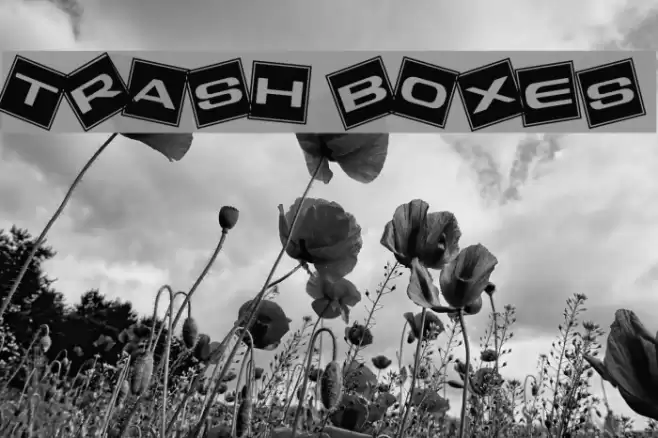 Trash Boxes Font examples