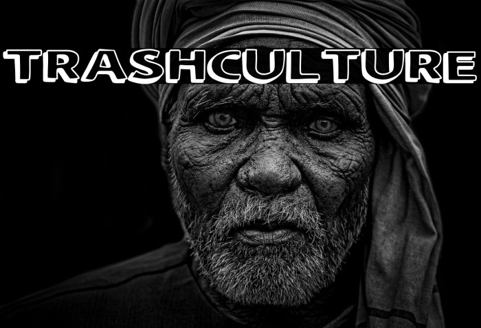 Trash Culture Example 1