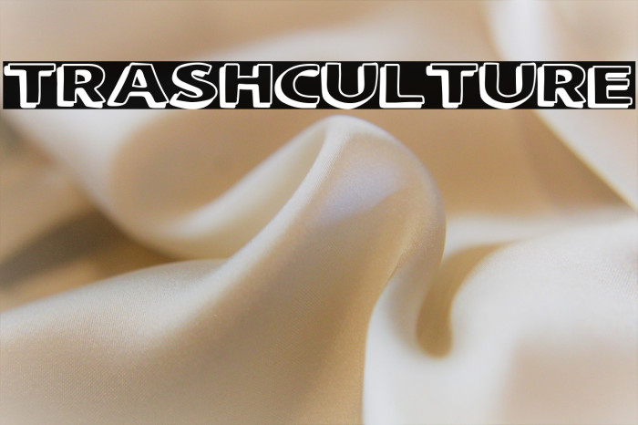 Trash Culture Example 2