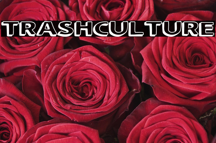 Trash Culture Example 3