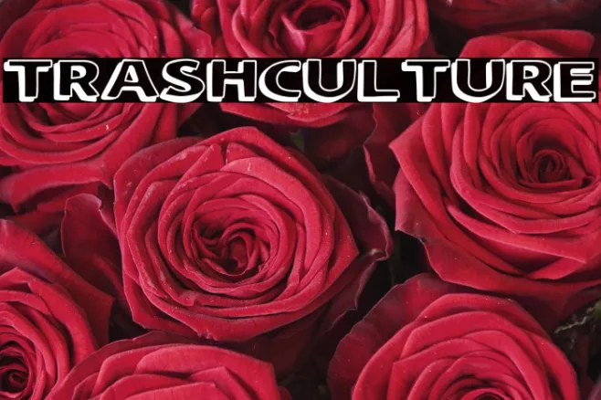 Trash Culture Example 3