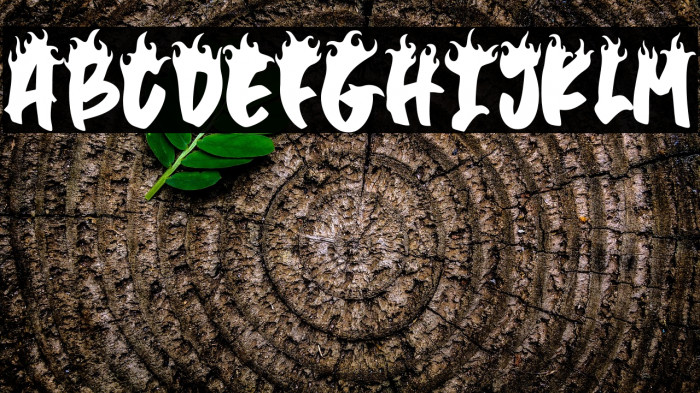 Trash Flame DEMO Example 1