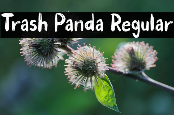 Trash Panda Regular Example 1