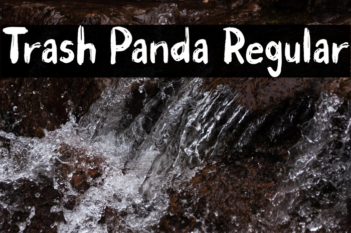 Trash Panda Regular Example 2