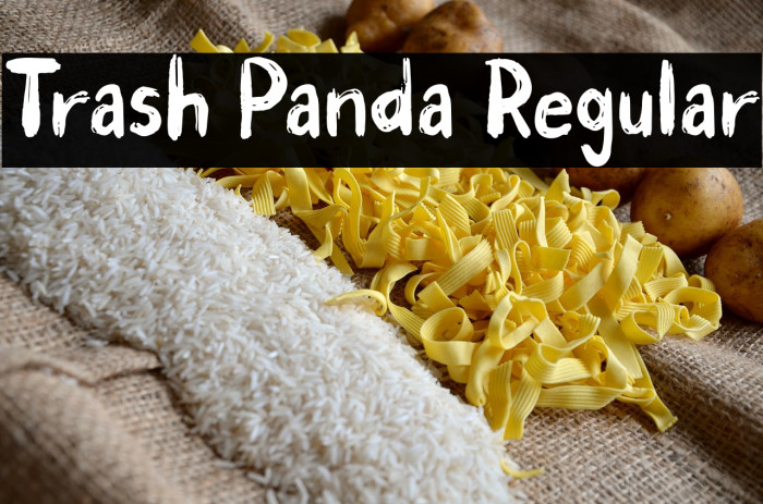 Trash Panda Regular Example 3
