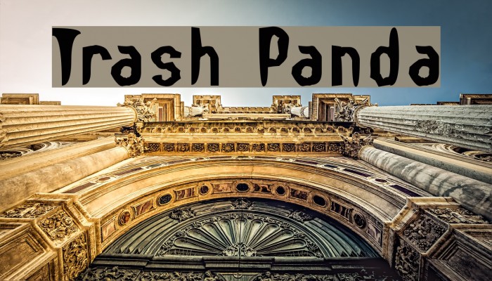 Trash Panda Font examples