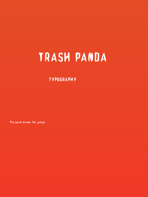 Trash Panda Poster