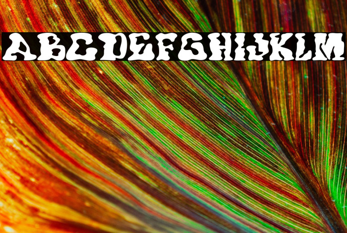 Trash Wax DEMO Example 3