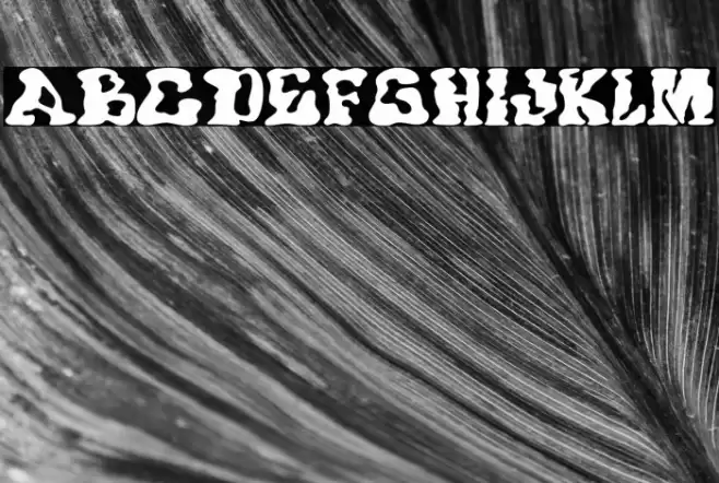 Trash Wax DEMO Font examples