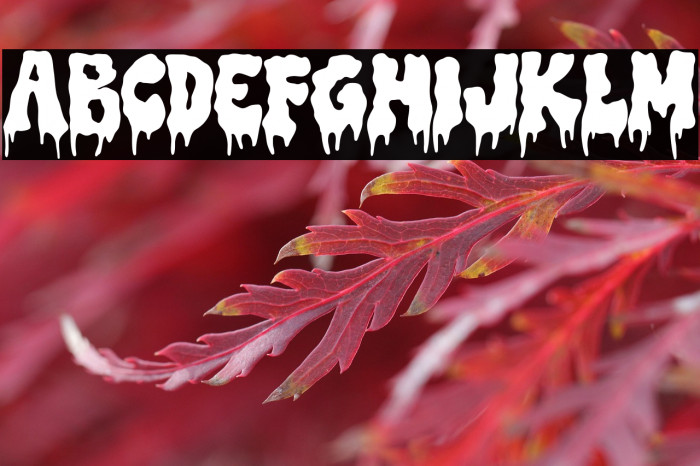 Trash Witch DEMO Example 1