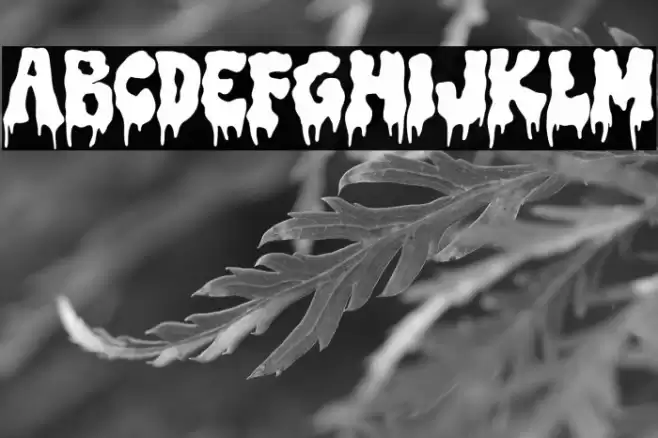 Trash Witch DEMO Font examples