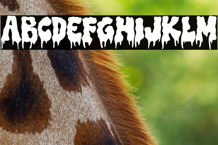 Trash Witch DEMO Example 2