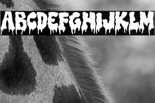 Trash Witch DEMO Font examples