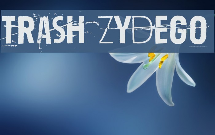 Trash Zydego Font examples