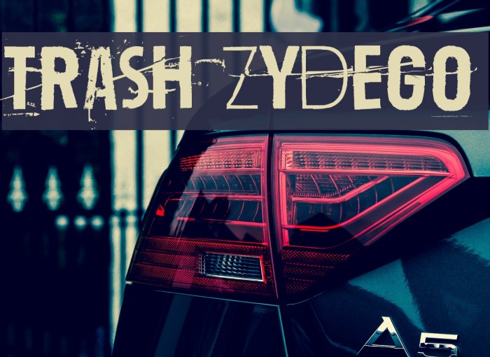 Trash Zydego Font examples