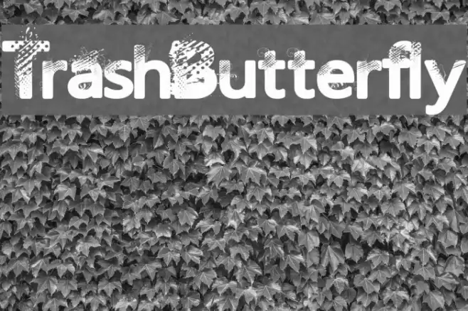 TrashButterfly Font examples