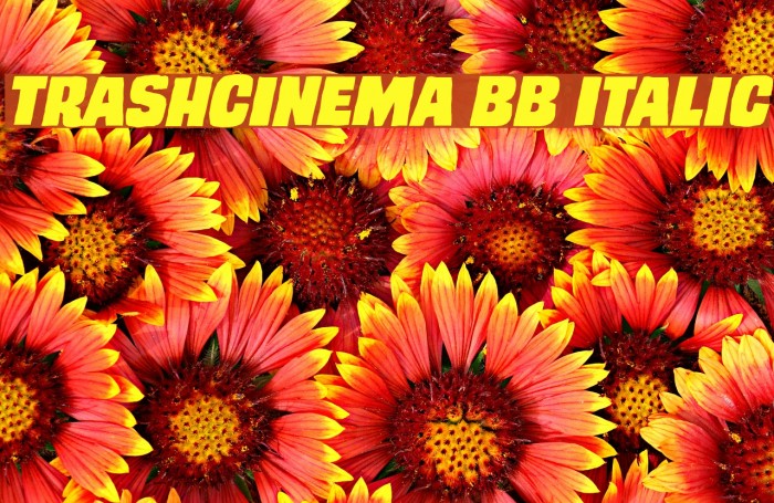 TrashCinema BB Italic Font examples