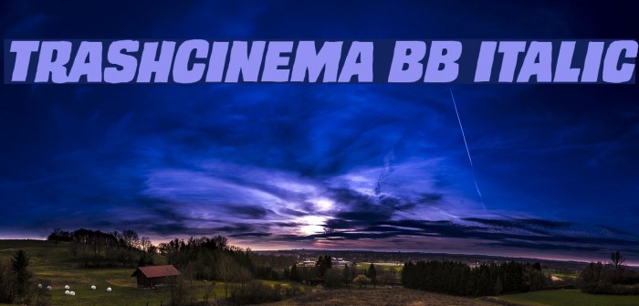 TrashCinema BB Italic Font examples